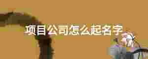 項目公司怎么起名字