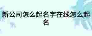 新公司怎么起名字在線怎么起名