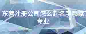 東營注冊公司怎么起名字哪家專業