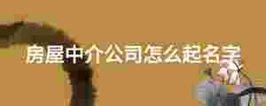 房屋中介公司怎么起名字