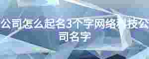 公司怎么起名3個字網絡科技公司名字