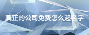 真正的公司免費怎么起名字