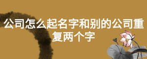 公司怎么起名字和別的公司重復(fù)兩個字