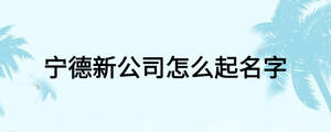 寧德新公司怎么起名字