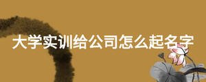 大學實訓給公司怎么起名字