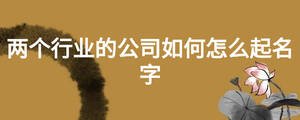 兩個行業(yè)的公司如何怎么起名字