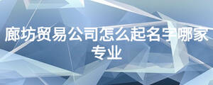 廊坊貿(mào)易公司怎么起名字哪家專業(yè)