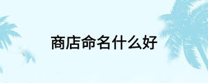 商店命名什么好