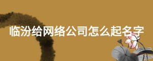 臨汾給網(wǎng)絡(luò)公司怎么起名字