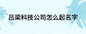 呂梁科技公司怎么起名字