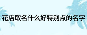 花店取名什么好特別點(diǎn)的名字