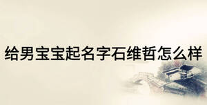 給男寶寶起名字石維哲怎么樣