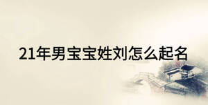 21年男寶寶姓劉怎么起名