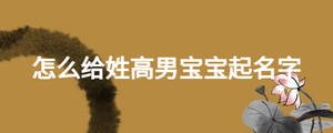怎么給姓高男寶寶起名字