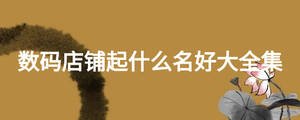 數碼店鋪起什么名好大全集