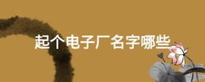 起個電子廠名字哪些