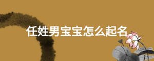 任姓男寶寶怎么起名