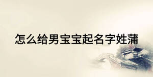 怎么給男寶寶起名字姓蒲