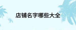 店鋪名字哪些大全