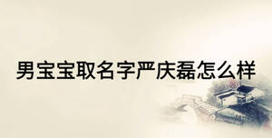 男寶寶取名字嚴(yán)慶磊怎么樣