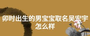 卯時出生的男寶寶取名吳宏宇怎么樣