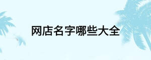 網店名字哪些大全