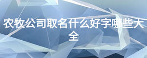 農牧公司取名什么好字哪些大全