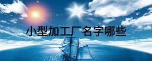 小型加工廠名字哪些