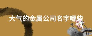 大氣的金屬公司名字哪些