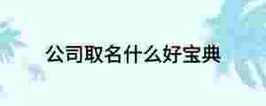 公司取名什么好寶典