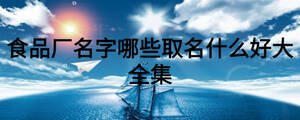 食品廠名字哪些取名什么好大全集
