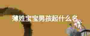 薄姓寶寶男孩起什么名