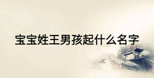 寶寶姓王男孩起什么名字