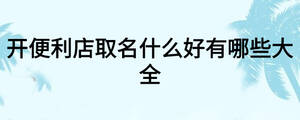 開便利店取名什么好有哪些大全