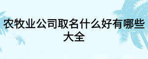 農牧業公司取名什么好有哪些大全