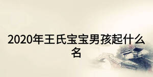 2020年王氏寶寶男孩起什么名