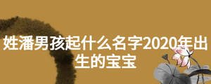 姓潘男孩起什么名字2020年出生的寶寶