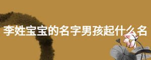 李姓寶寶的名字男孩起什么名