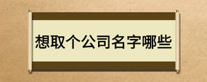 想取個公司名字哪些