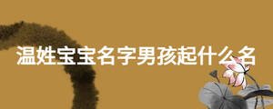 溫姓寶寶名字男孩起什么名