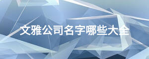 文雅公司名字哪些大全