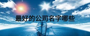 最好的公司名字哪些