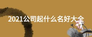 2021公司起什么名好大全