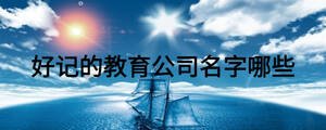 好記的教育公司名字哪些
