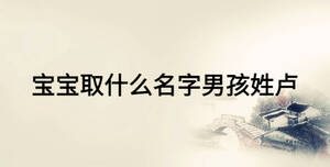 寶寶取什么名字男孩姓盧