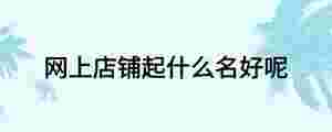 網(wǎng)上店鋪起什么名好呢