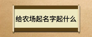 給農(nóng)場起名字起什么