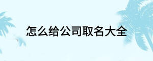 怎么給公司取名大全