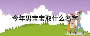 今年男寶寶取什么名字