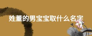 姓董的男寶寶取什么名字